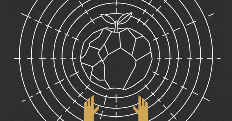 Roblox Blox Fruits में Quake Fruit कैसे पाएं और उपयोग करें