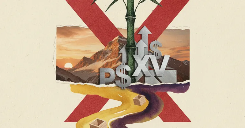 Peak XV ने Bamboobox में $66 मिलियन फंडिंग लीड की