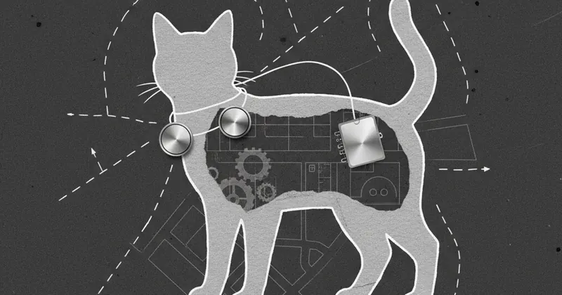 बिल्लियों के लिए आधुनिक स्मार्ट ट्रैकर